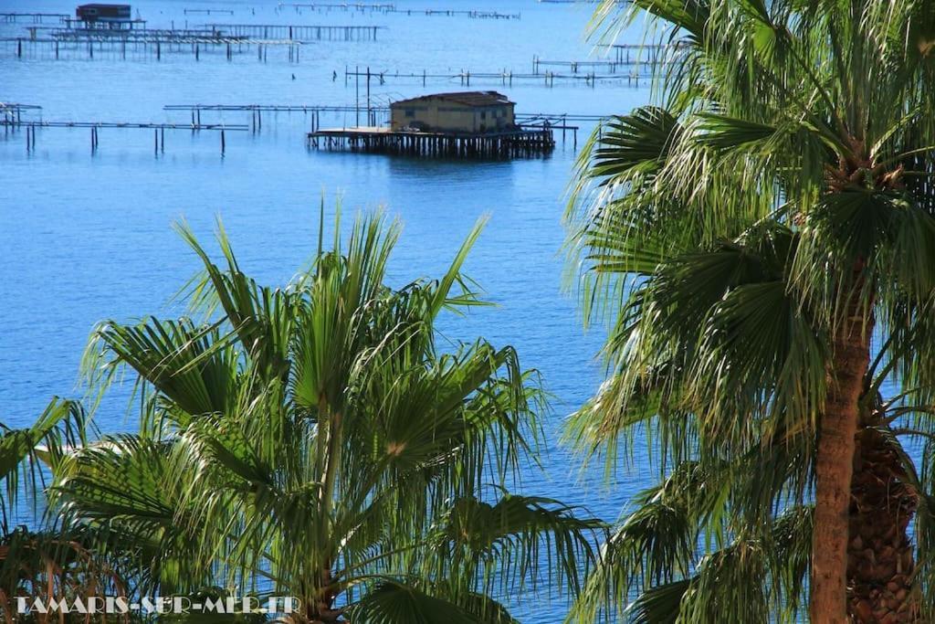 Appartement Port Tamaris, Le Troisieme à La Seyne-sur-Mer Extérieur photo